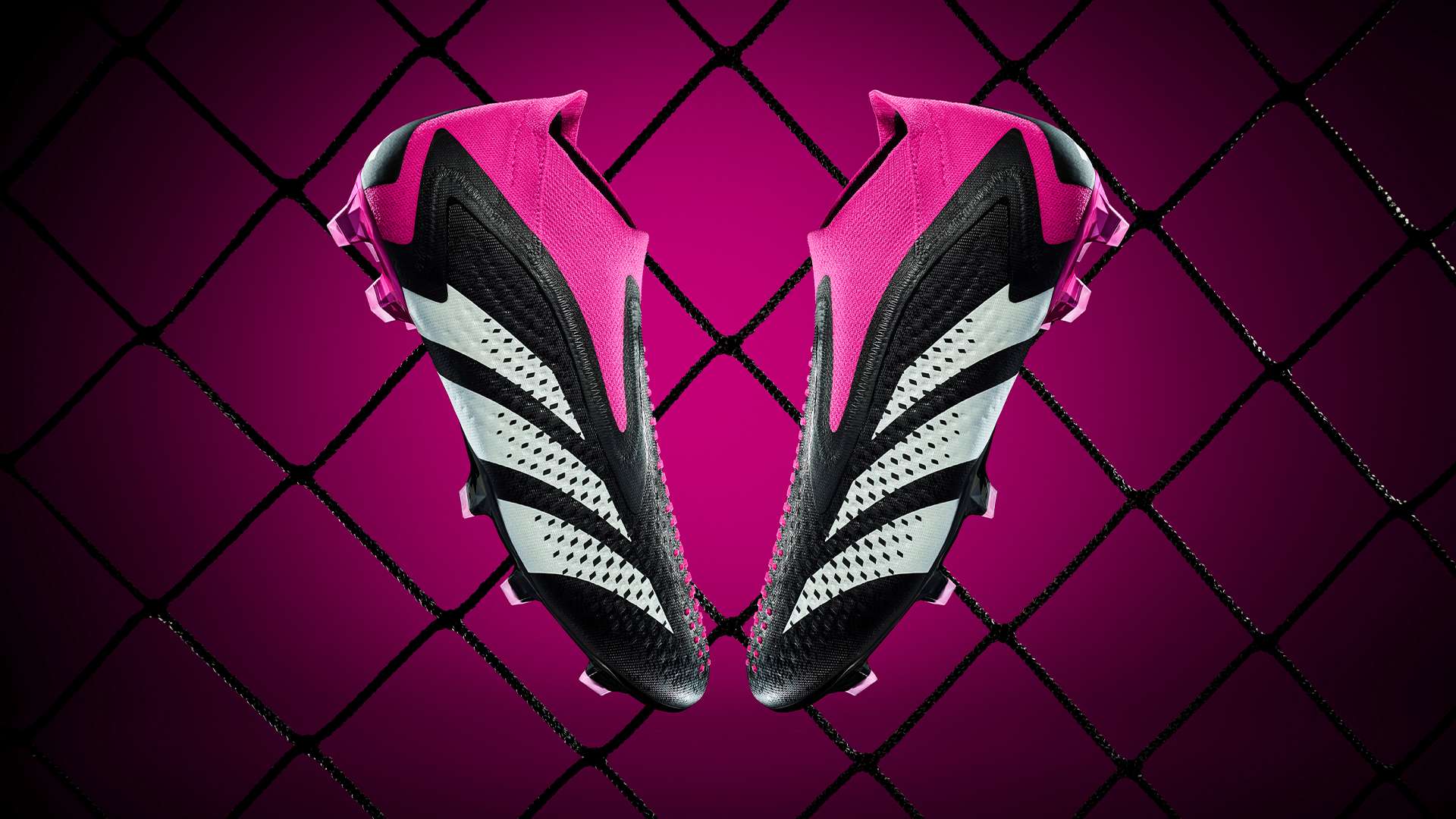 略不仅有助 略不仅有助