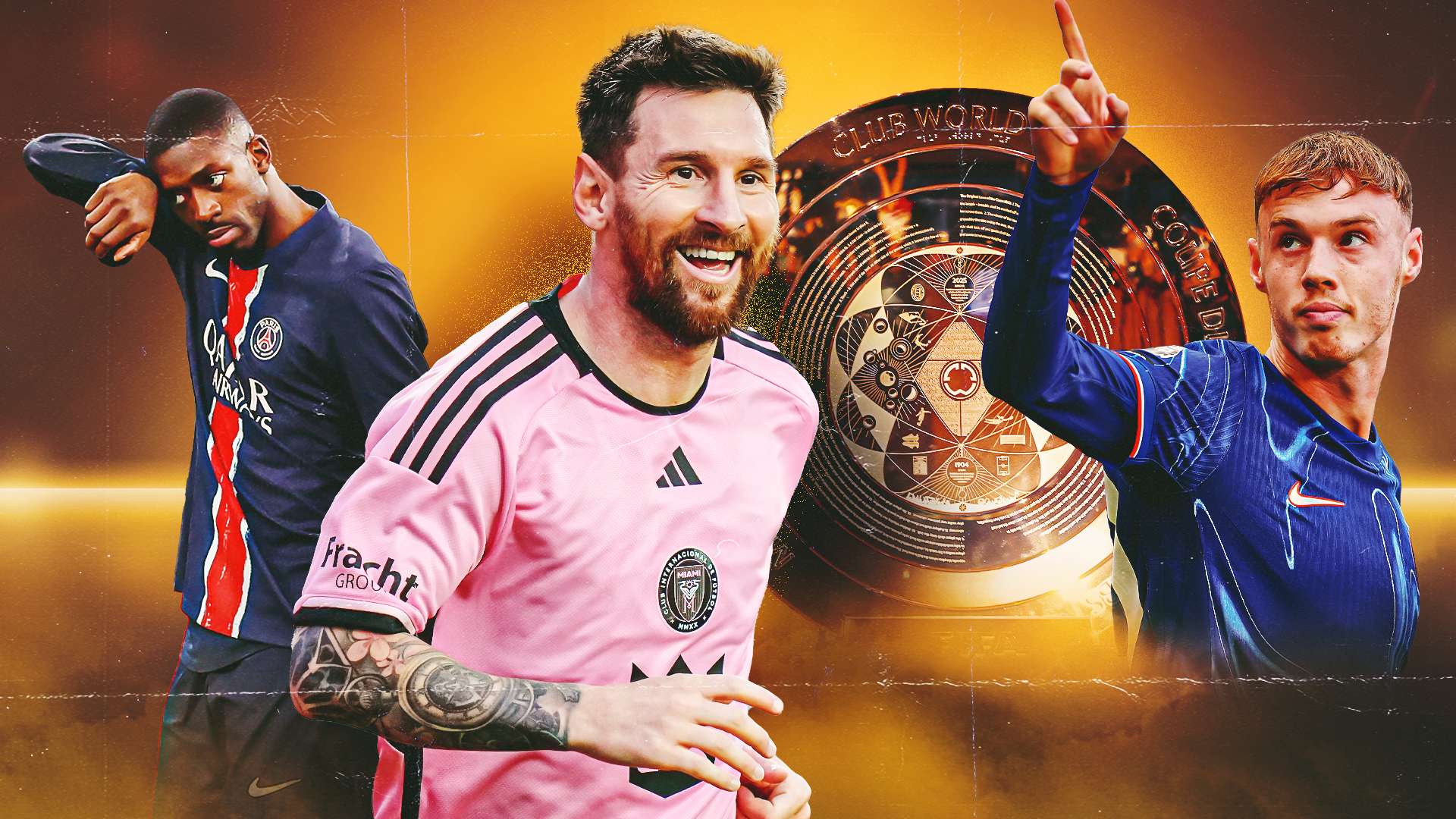 们展示了作 们展示了作